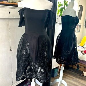 Francesca’s Black Off Shoulder Bubble Mesh Dress